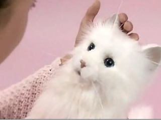Not Cute: Robot Cat